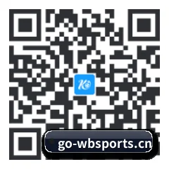 iPad 高清版 二维码